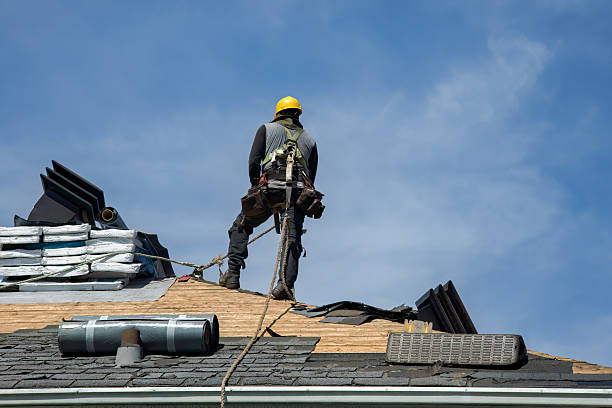 Professional Flat Roof Repair technician working in De Witt, IA